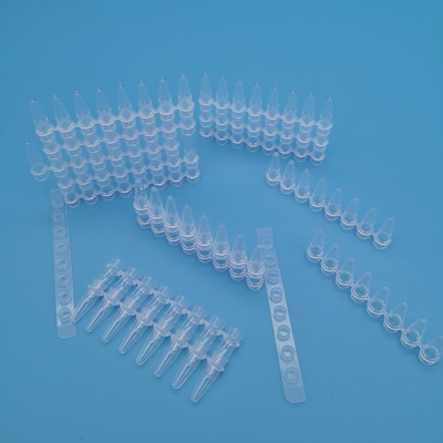 Transparante 0,2 Ml-PCR Buizen 8 van de de Biologiereactie van Buisstroken Moleculaire de Strookbuis